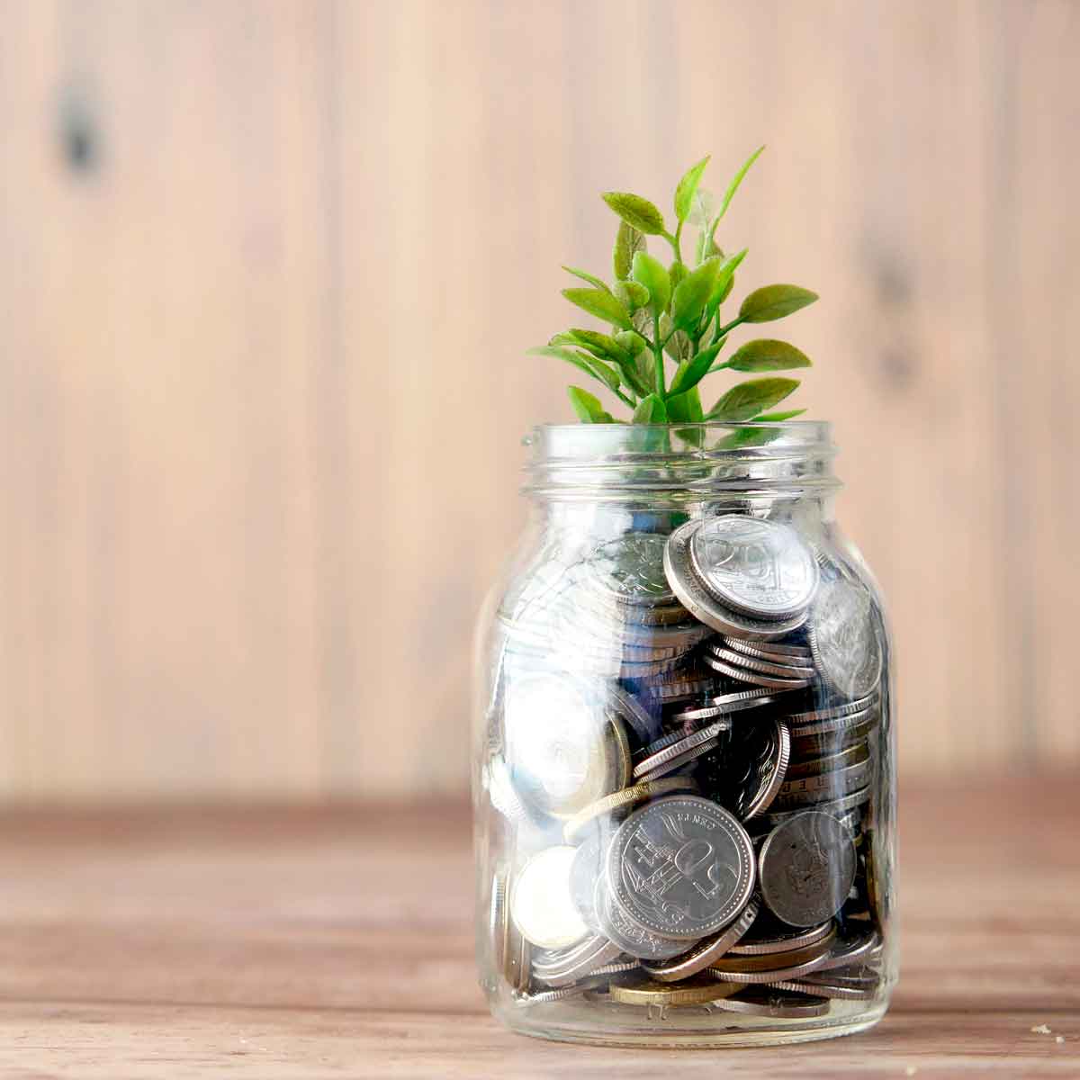 Glass jar filled with coins with green plant growing out of the top of it.